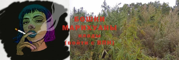 mdpv Ельня