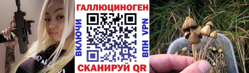 Псилоцибиновые грибы мухоморы  Моздок 